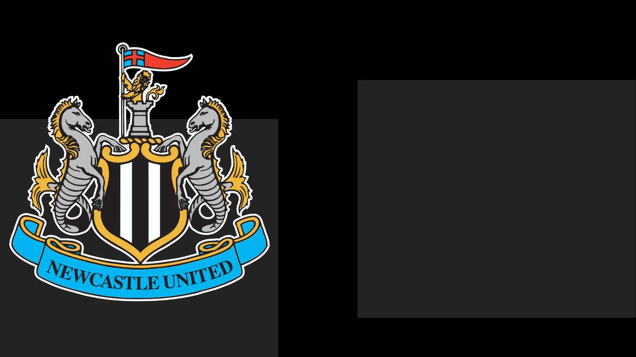 Newcastle Extend Apology to Followers Following Season Ticket Issue