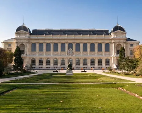 Invaluable Gold Samples Stolen in Audacious Heist at France's National Museum