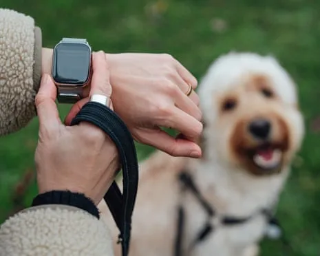The Honest Scoop Regarding Wearable Tech? Daily Existence Is Better Devoid of a Hectoring Device on Your Arm